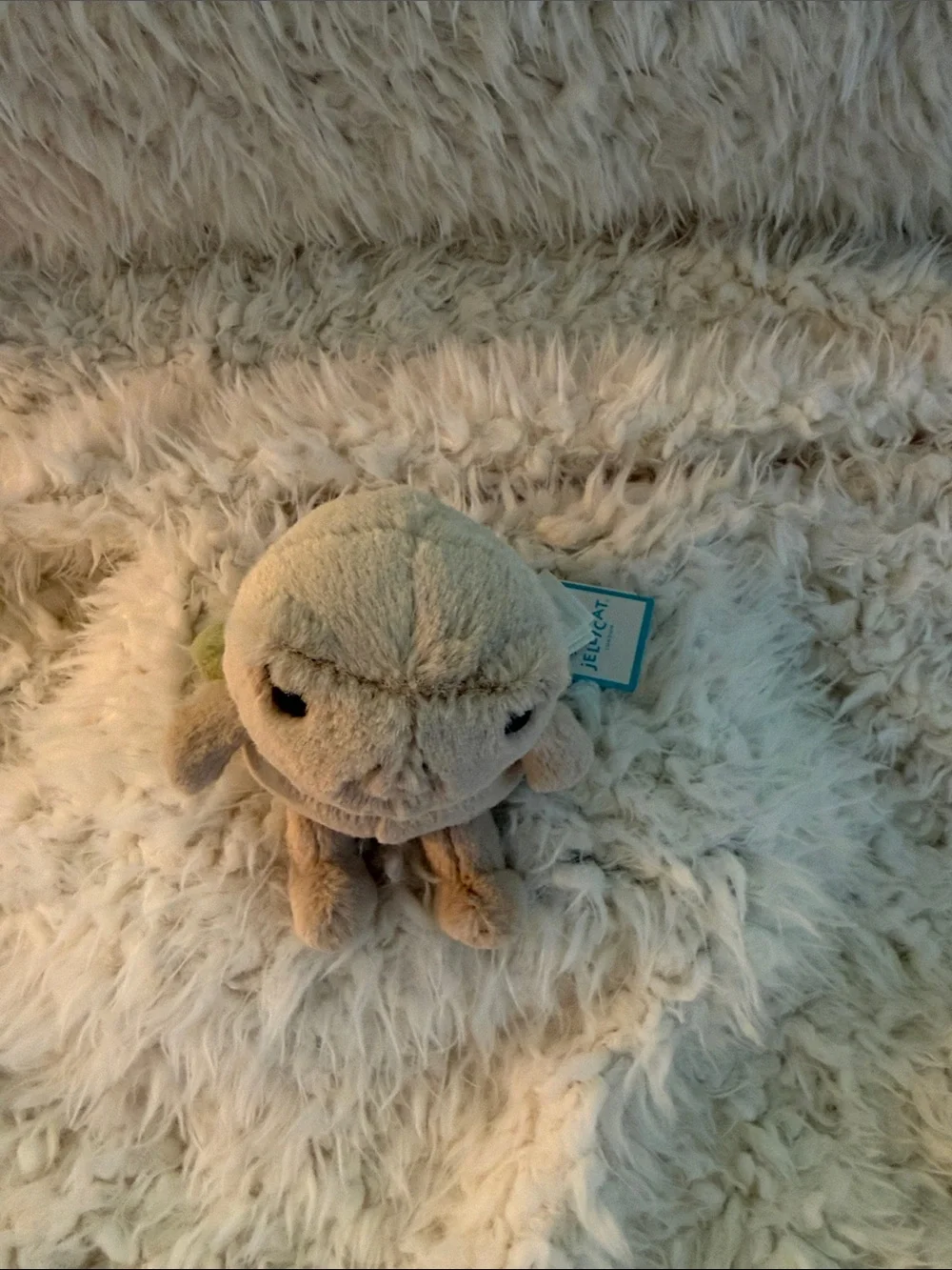 Thimble Turtle- Jellycat